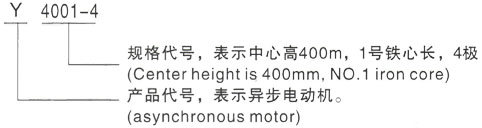 西安泰富西玛Y系列(H355-1000)高压YRKK4005-6/280KW三相异步电机型号说明